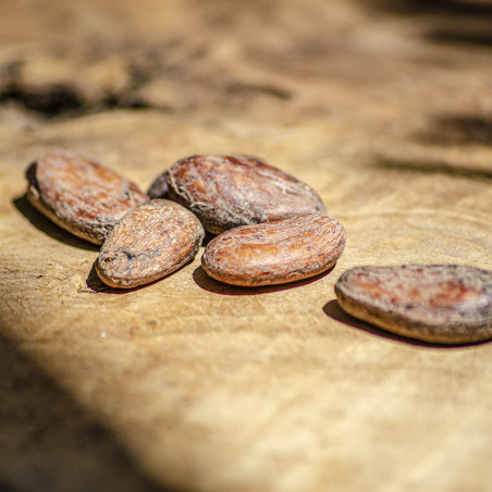 Fèves de Cacao Torréfiées