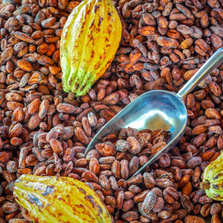 Fèves de Cacao Torréfiées...