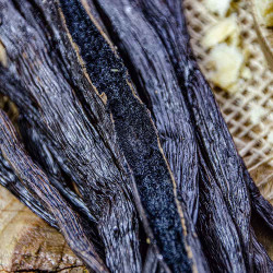 Gourmet Uganda M "Black Ebony" Vanilla Beans