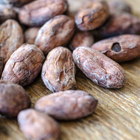 Fèves de Cacao du Pérou "Criollo Noix de Coco-Vanille"