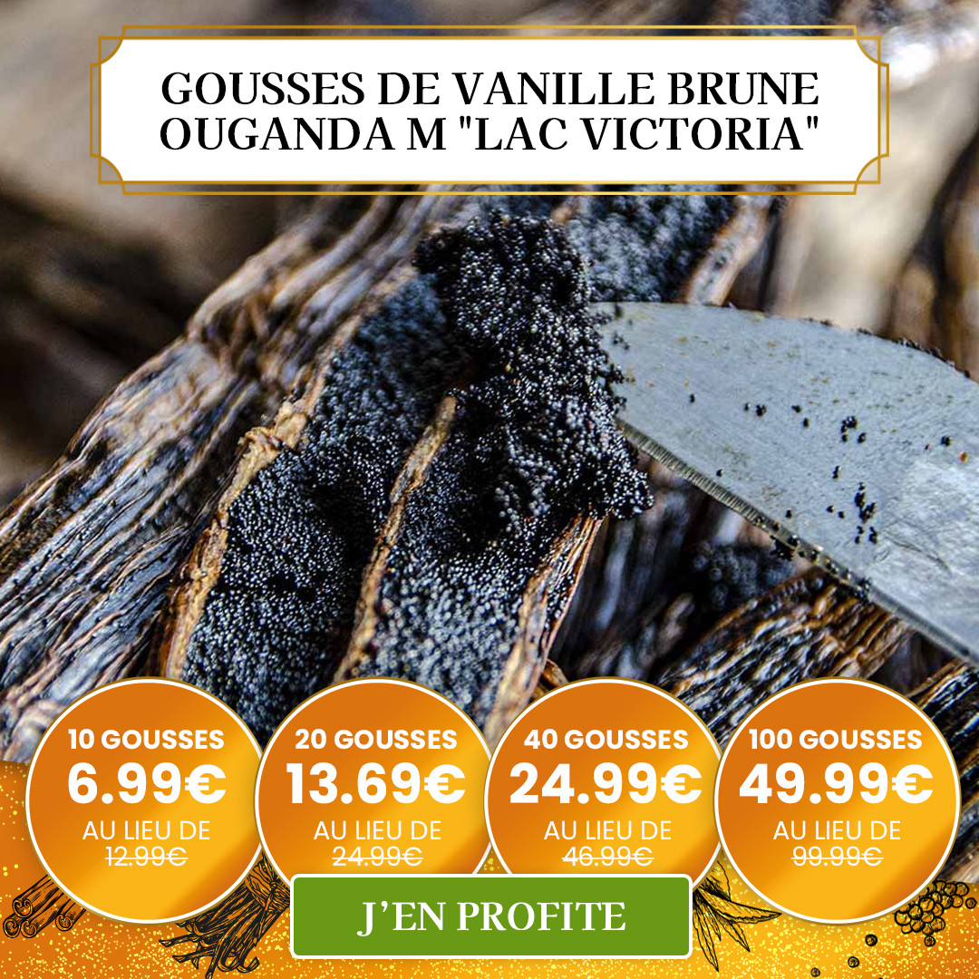 Graines de Courge - Premium - David Vanille